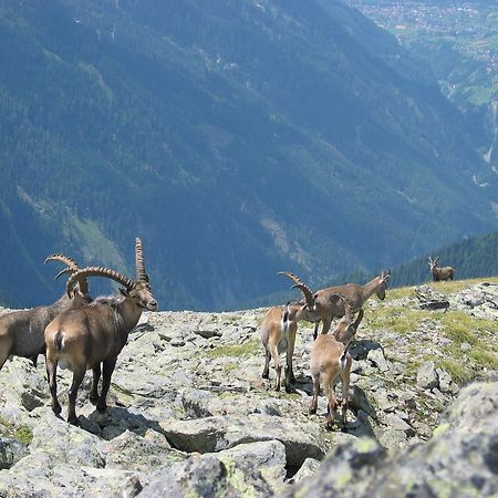Apart Gletscherblick Kaunertal Extérieur photo