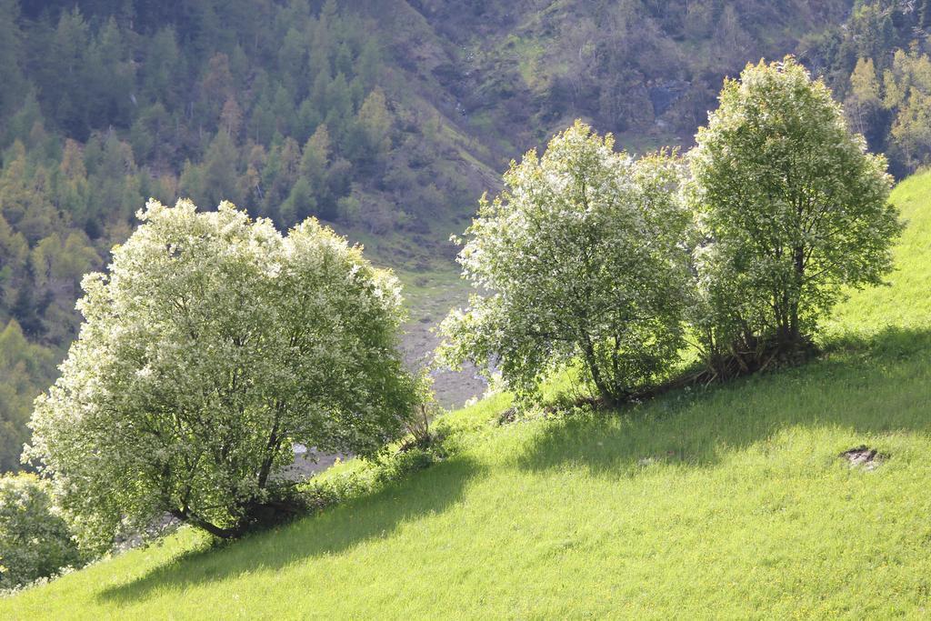 Apart Gletscherblick Kaunertal Extérieur photo