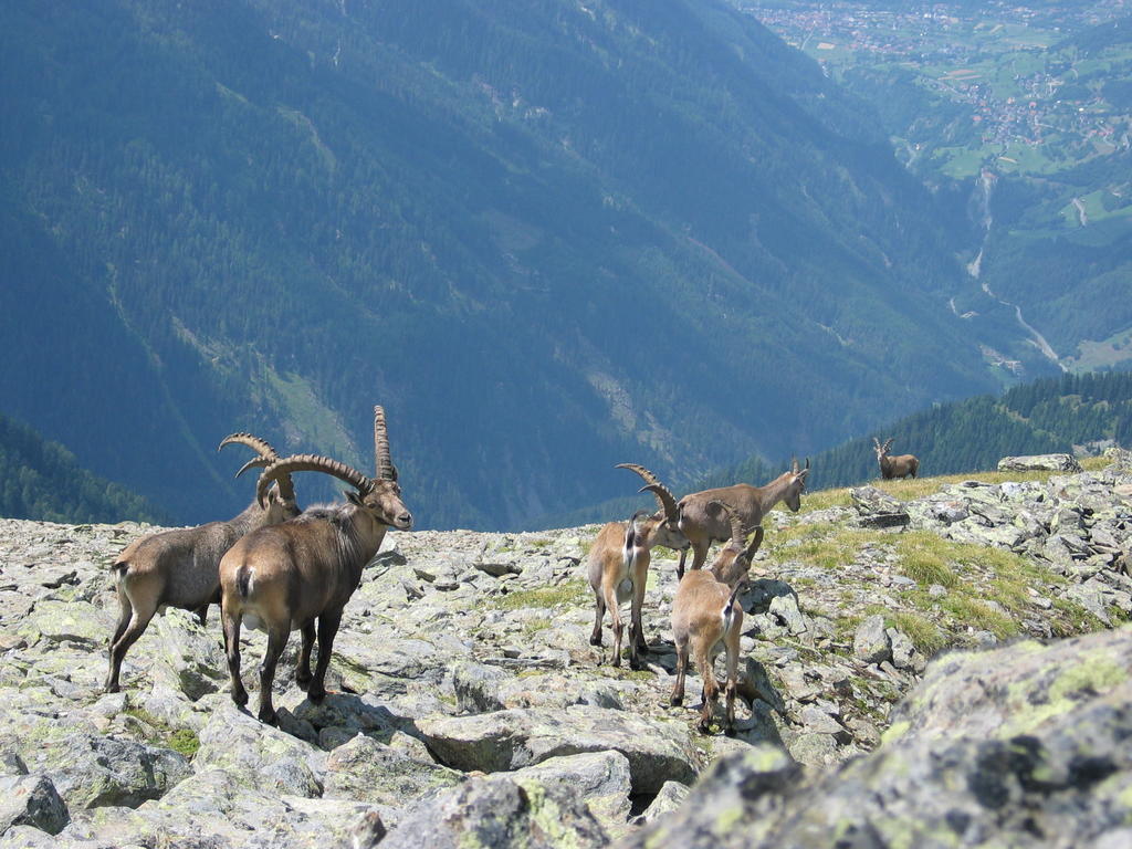 Apart Gletscherblick Kaunertal Extérieur photo